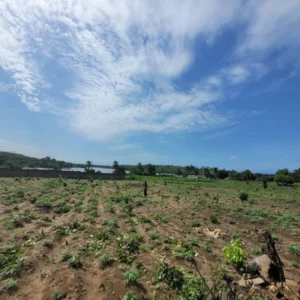 BINGERVILLE - ANA GBONTCHUI RÉSIDENTIE