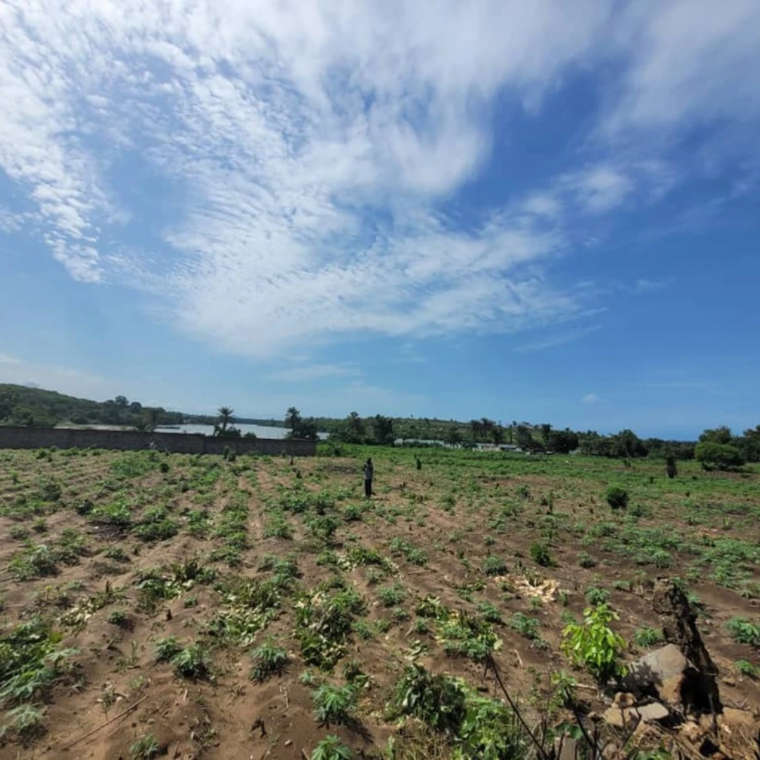 BINGERVILLE - ANA GBONTCHUI RÉSIDENTIE